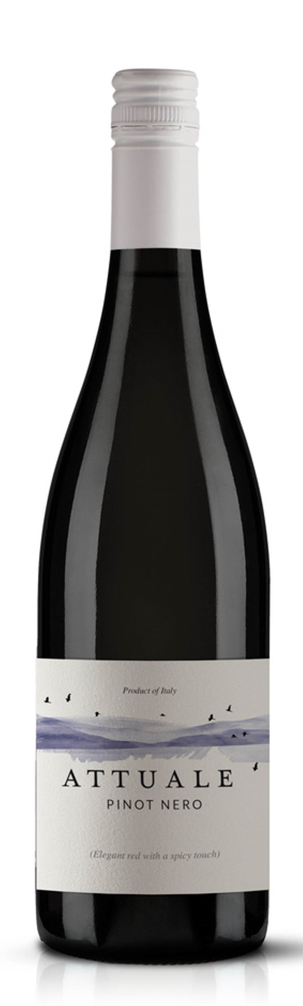 Attuale Pinot Nero Veneto IGT