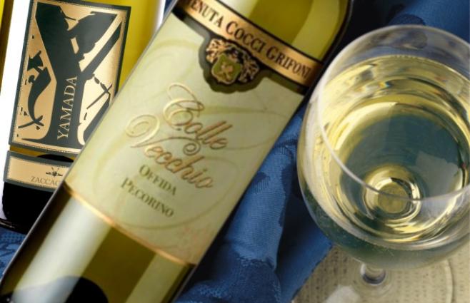 Pecorino - wino, które warto poznać