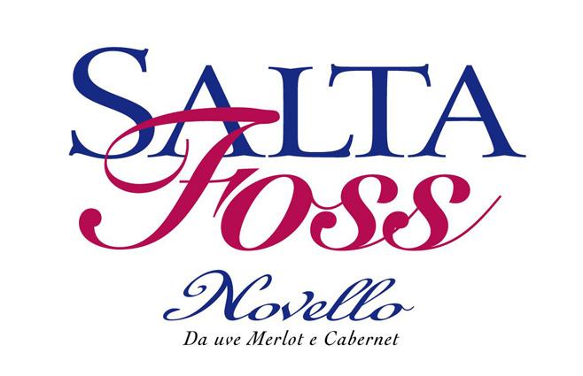 Młode włoskie wino - Novello Salta Foss - Paladin